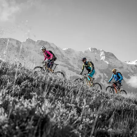 Eiger Easy بيت شباب